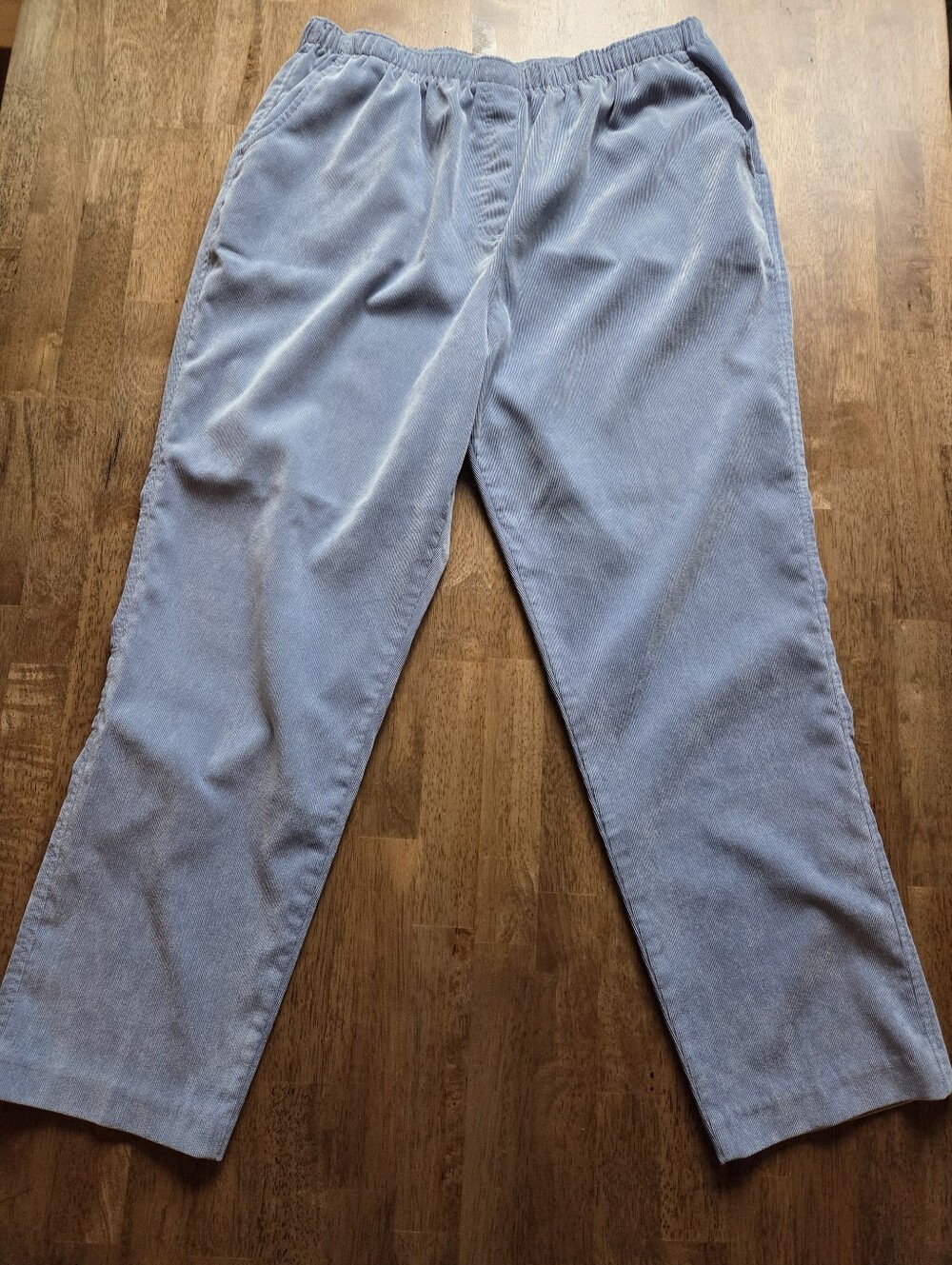 Light Blue Satin Sheen Corduroy Casual Pants